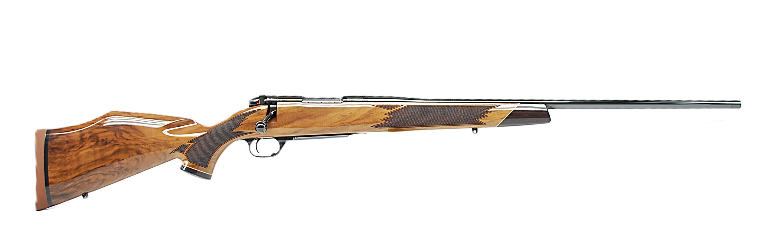 WY222831.1 WY222831.1